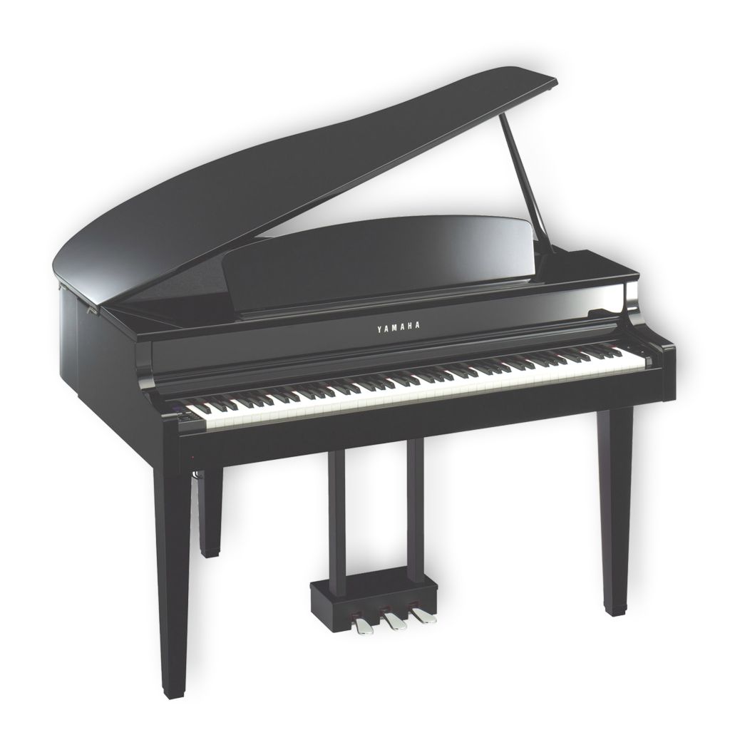 Instrumente Muzicale